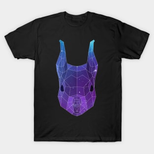 Galaxy Squirrel T-Shirt